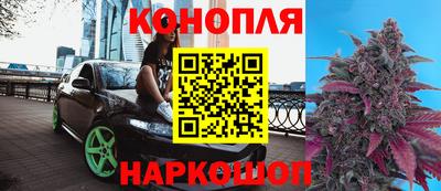 эйфоретик Малгобек