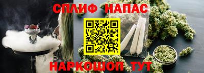 эйфоретик Малгобек