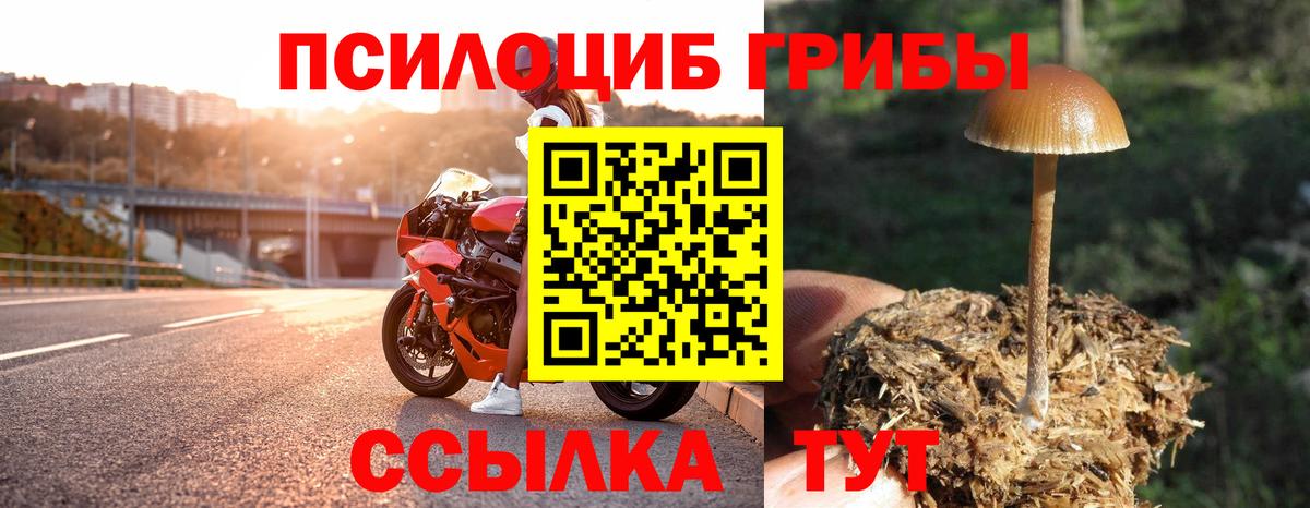 Верхний Уфалей  Галлюциногенные грибы GOLDEN TEACHER  Вход с VPN 
