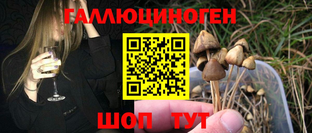 Галлюциногенные грибы Psilocybine cubensis Верхний Уфалей